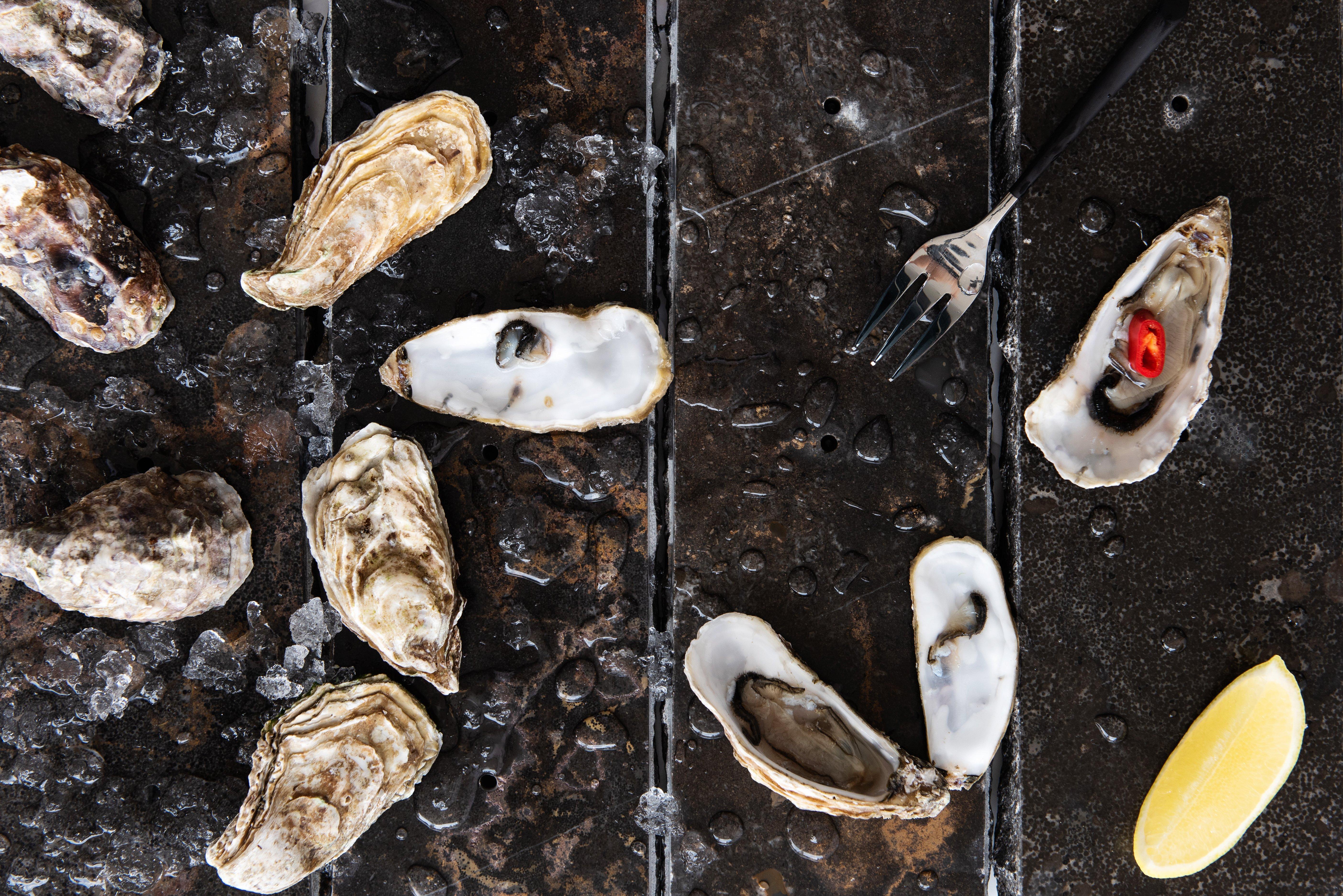 فندق انتركونتيننتال دبي مارينا المظهر الخارجي الصورة Oysters
